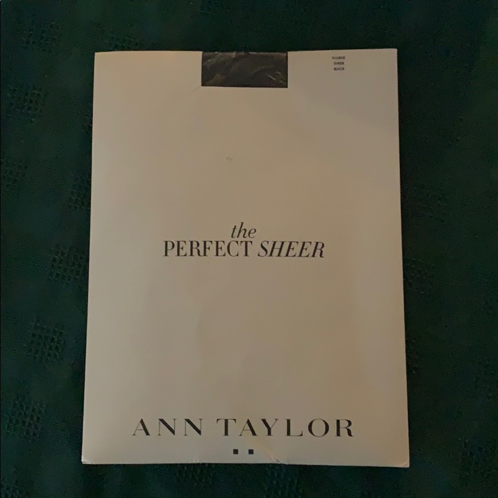 The Perfect Sheer Panty Hose